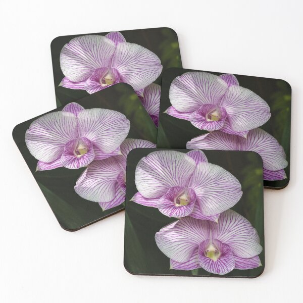 Item preview, Floral elegance of orchids with white petals streaked with intense purple designed and sold by franck380.
