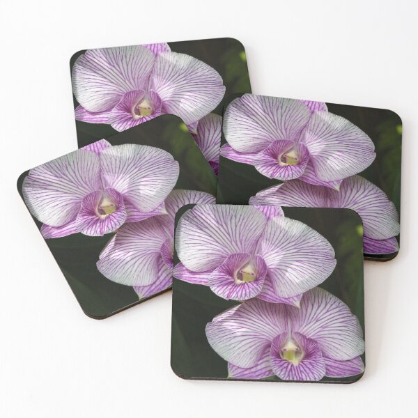 Item preview, Floral elegance of orchids with white petals streaked with intense purple designed and sold by franck380.