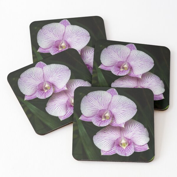 Item preview, Floral elegance of orchids with white petals streaked with intense purple designed and sold by franck380.