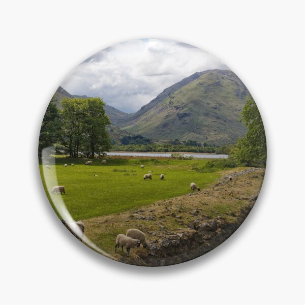 Item preview, Sheep grazing beside a stream in The Lake District of Cumbria England UK designed and sold by John Gilham - Landscape Photography.