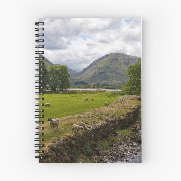 Item preview, Sheep grazing beside a stream in The Lake District of Cumbria England UK designed and sold by John Gilham - Landscape Photography.