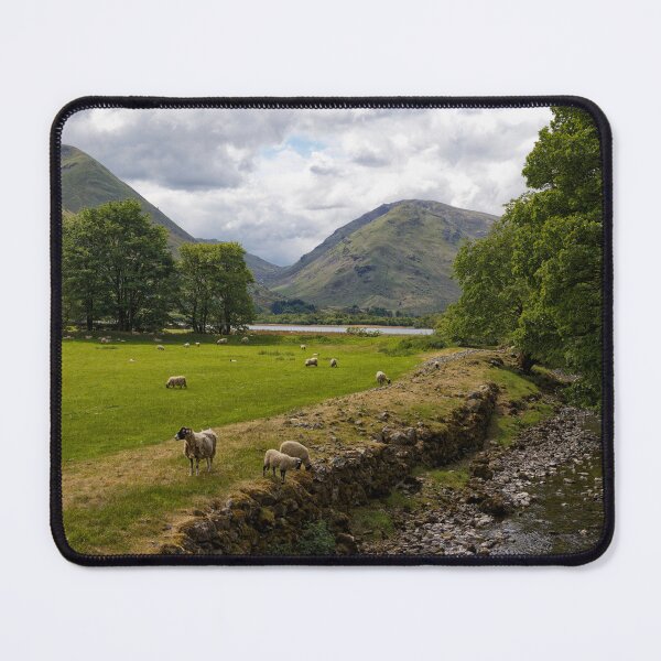 Item preview, Sheep grazing beside a stream in The Lake District of Cumbria England UK designed and sold by John Gilham - Landscape Photography.