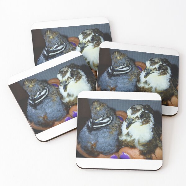 Item preview, Rosalbo with Misty designed and sold by di-Vera-Rosati.