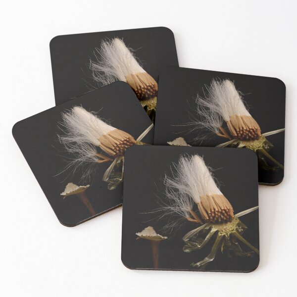 Item preview, Macro of Withered Dandelion Head with Seeds on Black Background designed and sold by Goiko7Margarita.