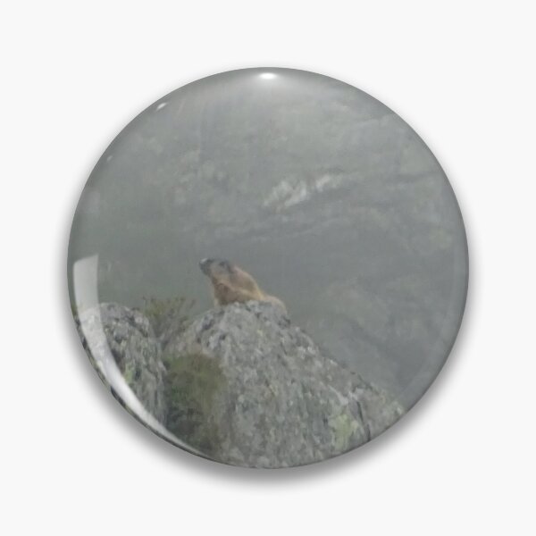 Item preview, A relaxing marmot designed and sold by shots-from-dave.