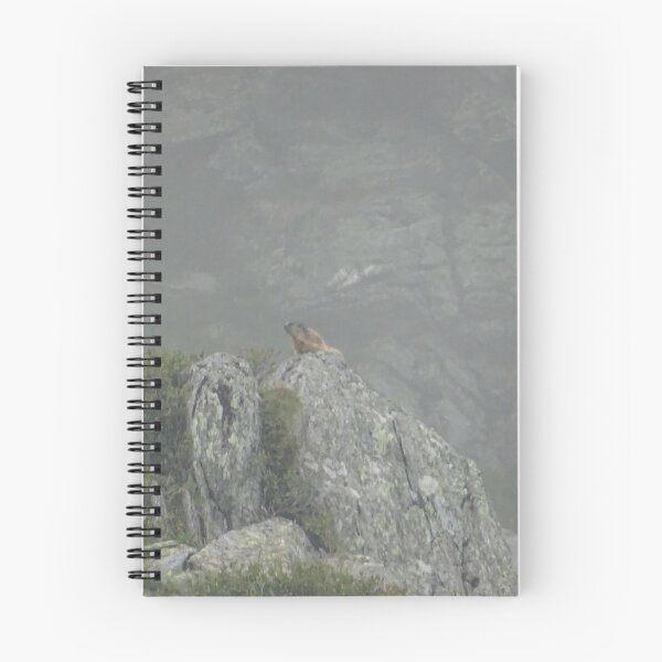 Item preview, A relaxing marmot designed and sold by shots-from-dave.