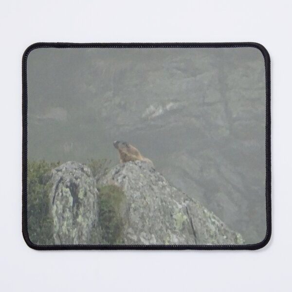 Item preview, A relaxing marmot designed and sold by shots-from-dave.