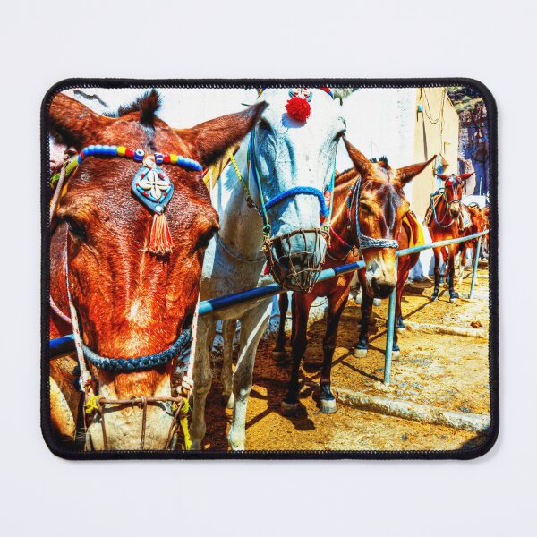 Item preview, Colorful Santorini Donkeys in a Sunlit Alley designed and sold by Paul Thompson Photography.