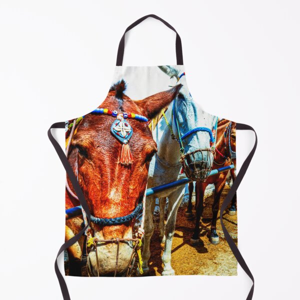 Item preview, Colorful Santorini Donkeys in a Sunlit Alley designed and sold by Paul Thompson Photography.
