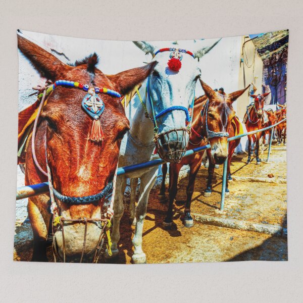 Item preview, Colorful Santorini Donkeys in a Sunlit Alley designed and sold by Paul Thompson Photography.