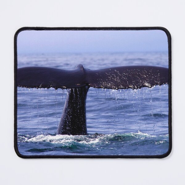 Item preview, Graceful designed and sold by purelightimages.