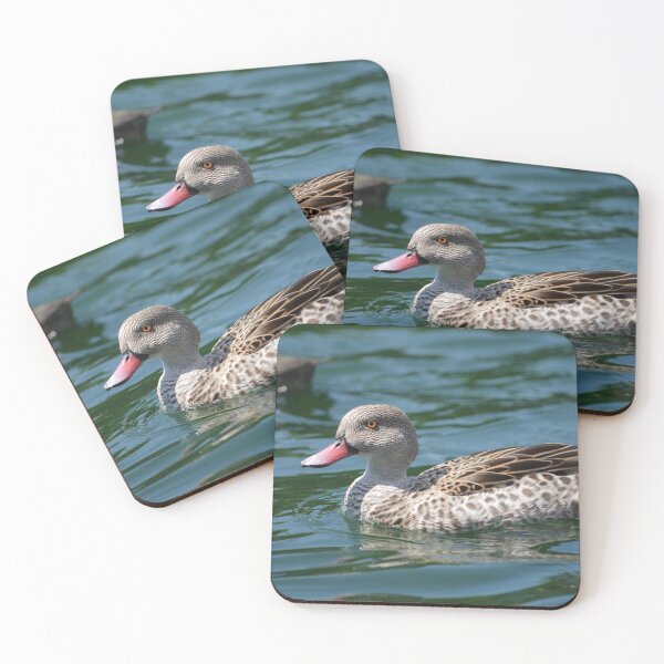 Item preview, Cape Teal Duck designed and sold by Shyenne  Moran.