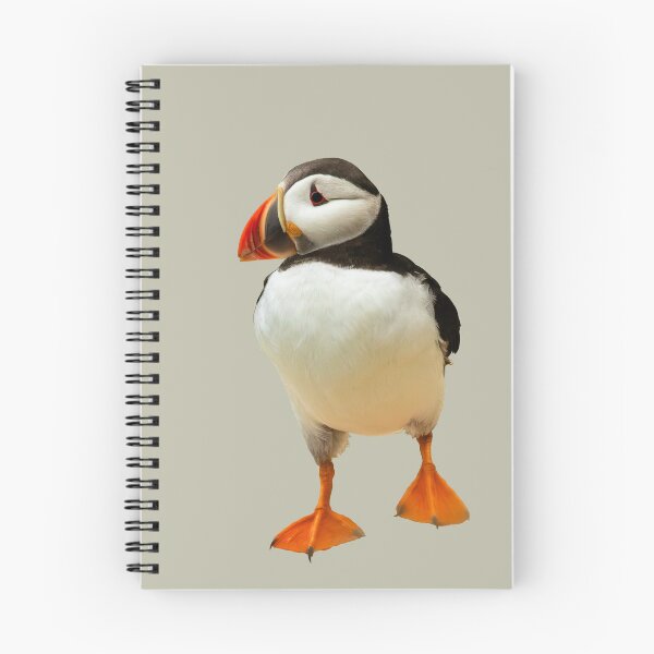 Item preview, Puffin Parade designed and sold by Jane Stanley Photography.