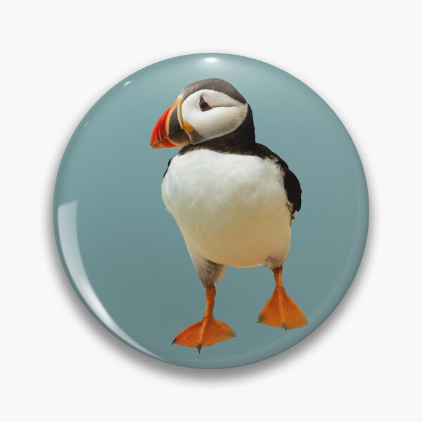 Item preview, Atlantic Puffin Placement Print designed and sold by Jane Stanley Photography.