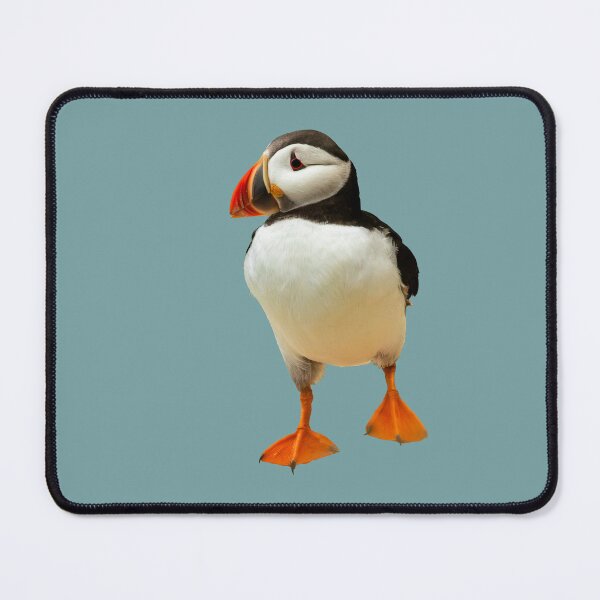Item preview, Atlantic Puffin Placement Print designed and sold by Jane Stanley Photography.