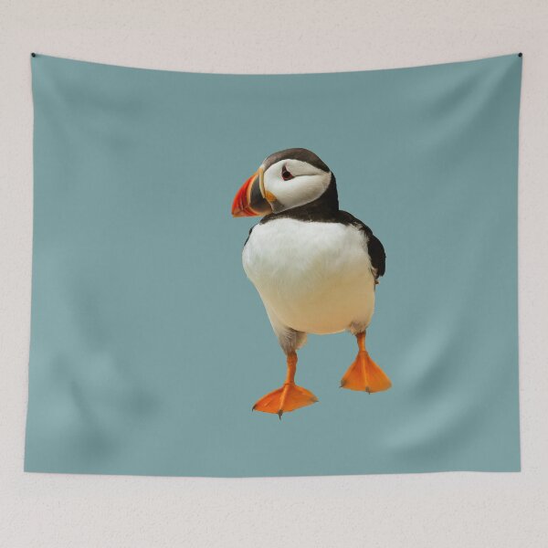 Item preview, Atlantic Puffin Placement Print designed and sold by Jane Stanley Photography.