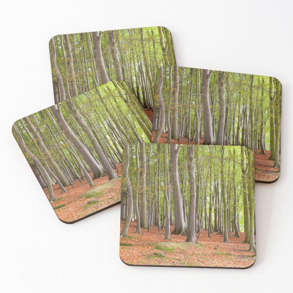 Item preview, Sunlight in woodland designed and sold by Andrew Fletcher Photography.