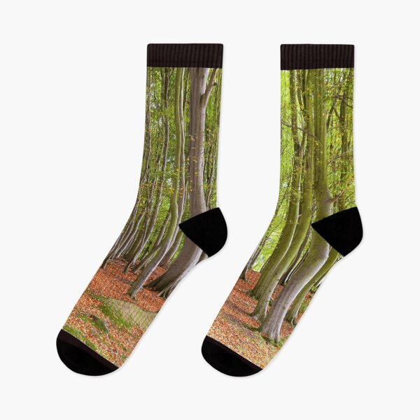 Item preview, Sunlight in woodland designed and sold by Andrew Fletcher Photography.