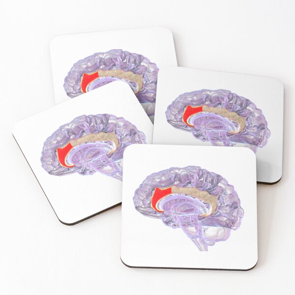 Item preview, Anterior Cingulate Cortex In Human Brain designed and sold by Kateryna Kon.