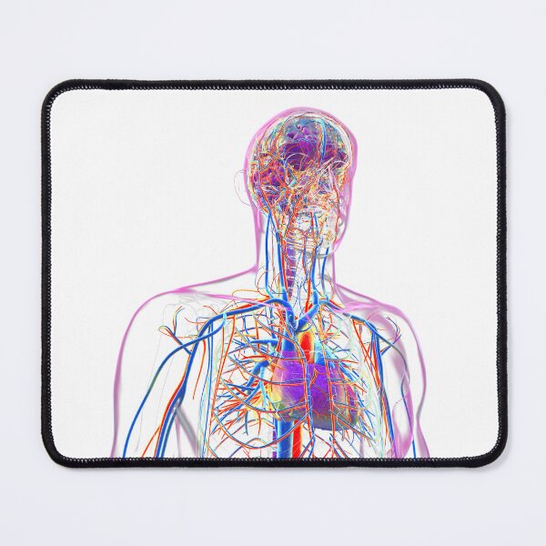 Item preview, Colorful Human Anatomy designed and sold by Kateryna Kon.