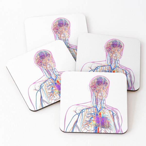 Item preview, Colorful Human Anatomy designed and sold by Kateryna Kon.