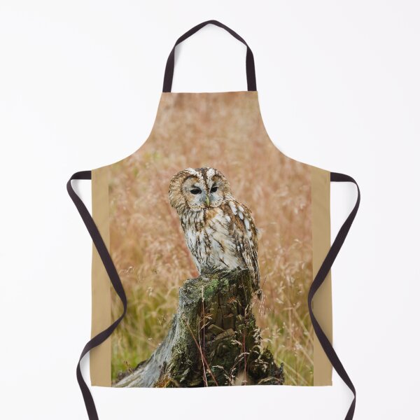 Item preview, Tawny owl - Strix aluco- on a tree stump designed and sold by Andrew Fletcher Photography.