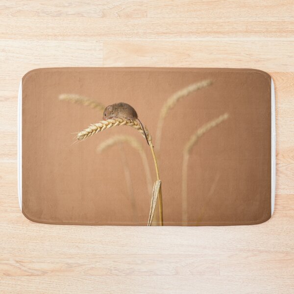 Item preview, Harvest mouse on corn designed and sold by Andrew Fletcher Photography.