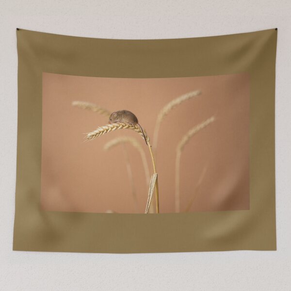 Item preview, Harvest mouse on corn designed and sold by Andrew Fletcher Photography.