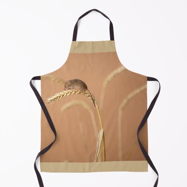 Item preview, Harvest mouse on corn designed and sold by Andrew Fletcher Photography.