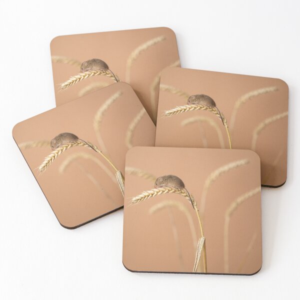 Item preview, Harvest mouse on corn designed and sold by Andrew Fletcher Photography.