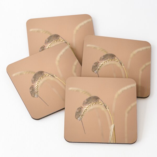 Item preview, Harvest mouse couple designed and sold by Andrew Fletcher Photography.