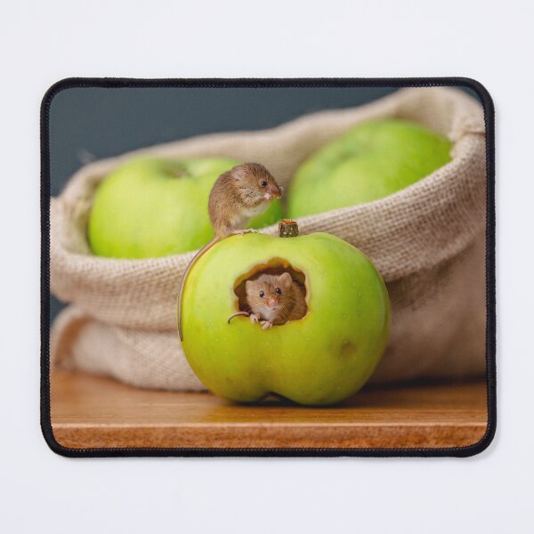 Item preview, An apple a day, for harvest mice designed and sold by Andrew Fletcher Photography.