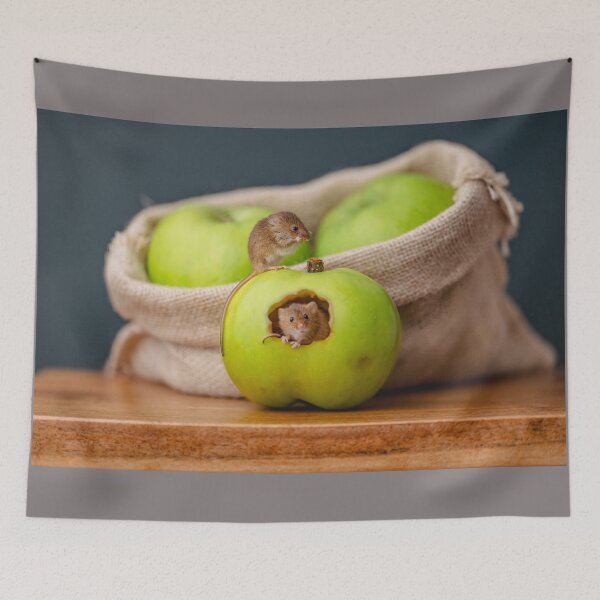 Item preview, An apple a day, for harvest mice designed and sold by Andrew Fletcher Photography.