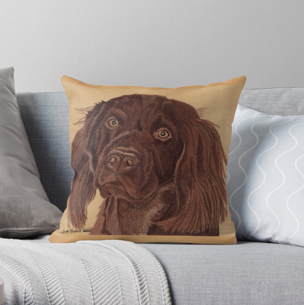 spaniel pillow