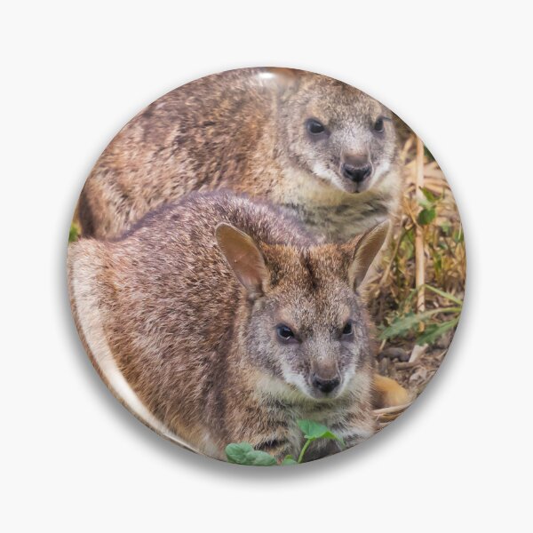 Item preview, Parma Wallabies designed and sold by JEZ22.