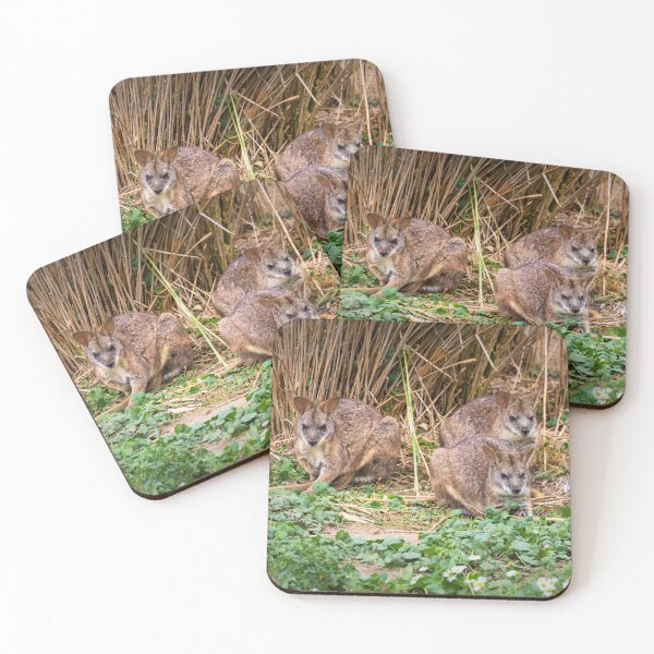Item preview, Parma Wallabies designed and sold by JEZ22.