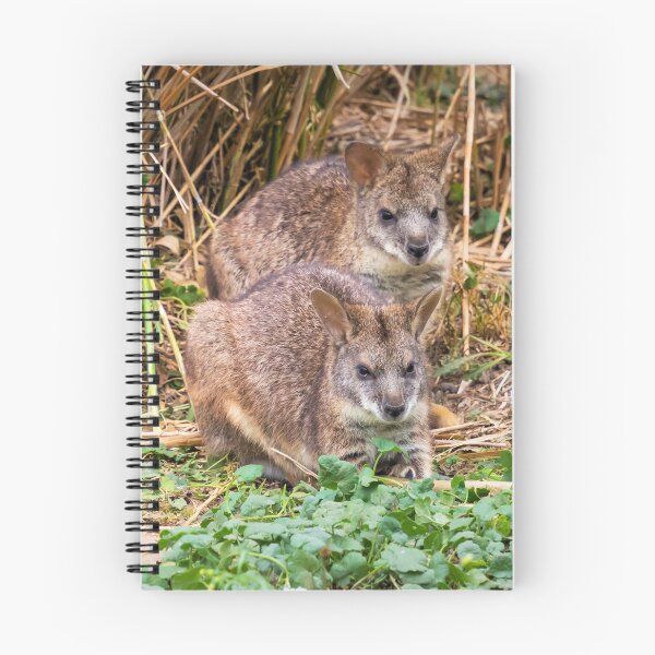 Item preview, Parma Wallabies designed and sold by JEZ22.