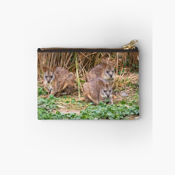 Item preview, Parma Wallabies designed and sold by JEZ22.