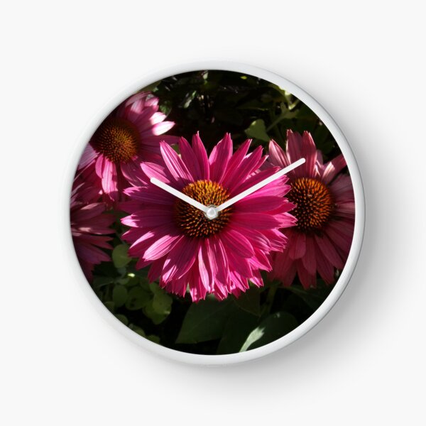 Item preview, Echinacea Purpurea Flower (Quebec City) designed and sold by GooglyEyes-.