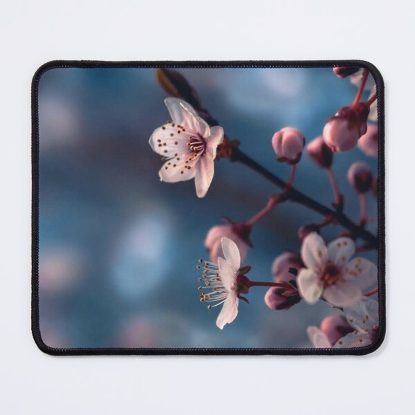Item preview, Frosted Publix Tranquility Scene designed and sold by Sung- hoon.
