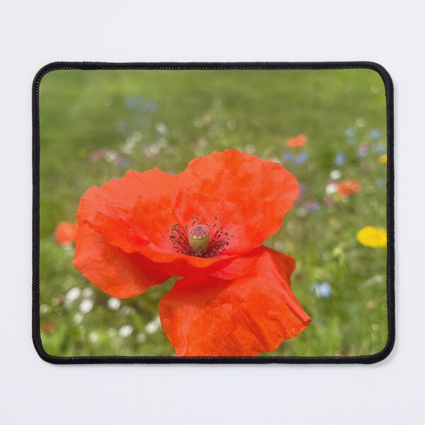 Item preview, Wildflower Patch II designed and sold by ArtistKynzie.