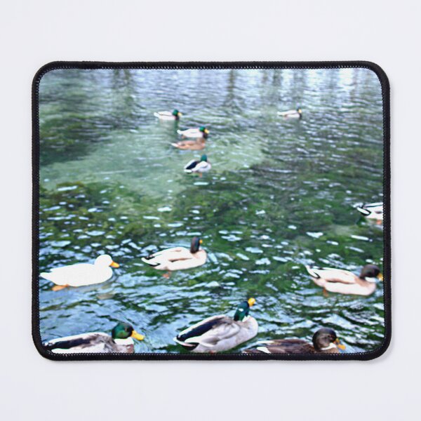 Item preview, Swans designed and sold by DjeriK.