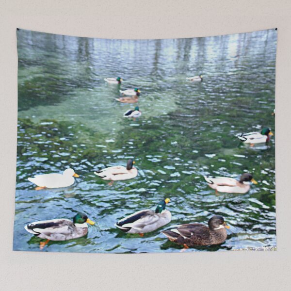 Item preview, Swans designed and sold by DjeriK.