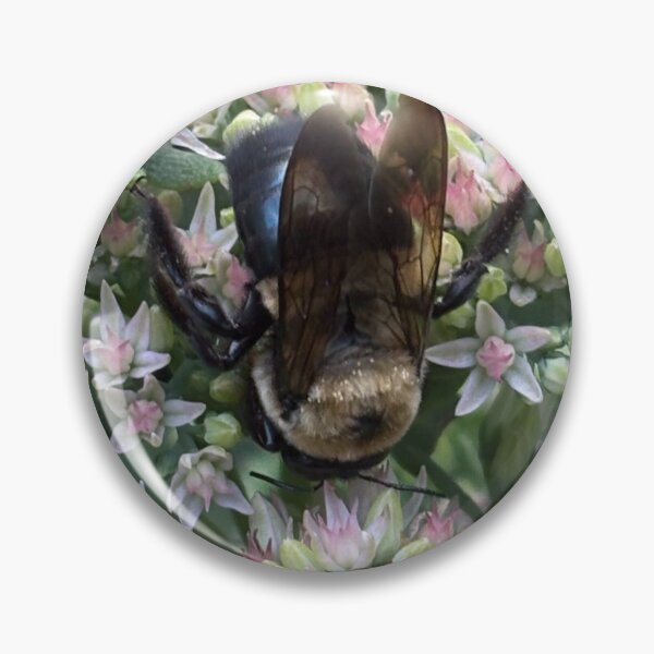 Item preview, Queen Bee Enjoying Nectar on Summer Blooms designed and sold by Whiskered Garden Studio.