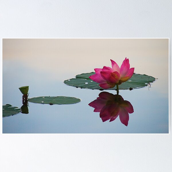 Item preview, Tranquility designed and sold by Steven  Siow.