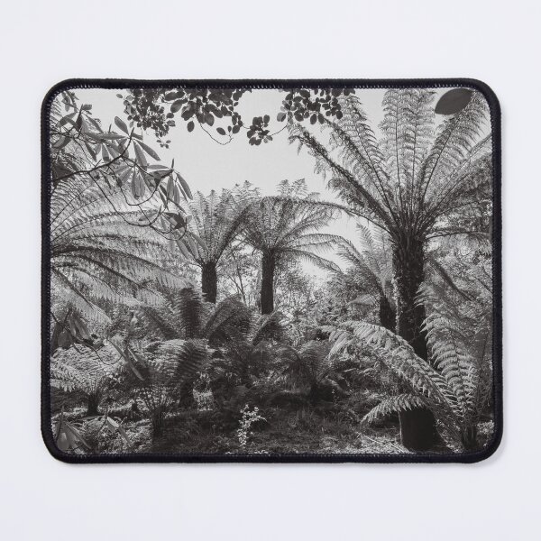 Item preview, Tree Ferns 1 designed and sold by Mairi Fleck.