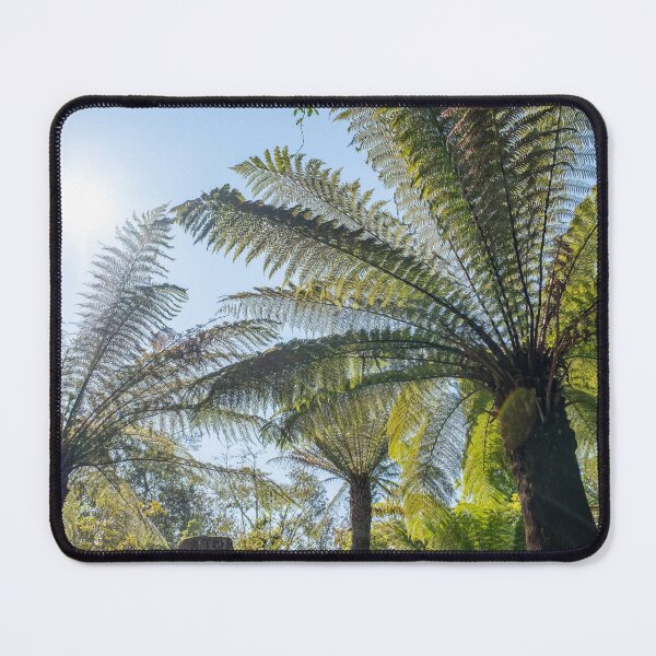 Item preview, Tree Ferns II designed and sold by Mairi Fleck.