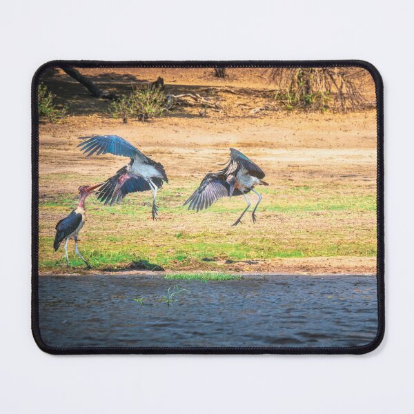 Item preview, Dance of the Maribou Stork designed and sold by Kay Brewer.