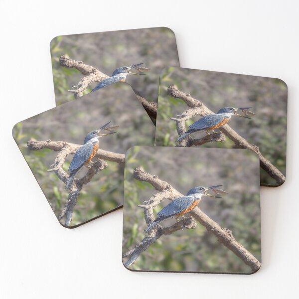 Item preview, Ringed Kingfisher Having a Meal Pantanal Brazil designed and sold by PhotoArt by Joan Carroll.