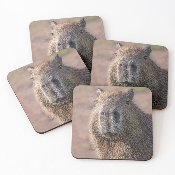 Item preview, Capybara Portrait Pantanal Brazil designed and sold by PhotoArt by Joan Carroll.
